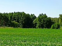 Zabezpieczenie upraw przed szkodami