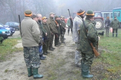 17 listopad 2012