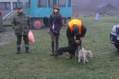 17 listopad 2012