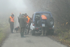17 listopad 2012