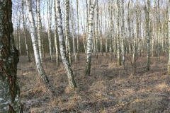 2 styczeń 2016