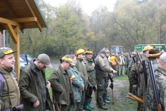 8 listopad 2014