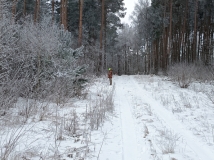 10 styczeń 2026