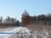 10 styczeń 2026