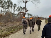 16 listopad 2019