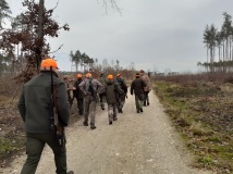 16 listopad 2019