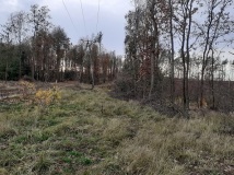 16 listopad 2019