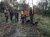16 listopad 2019