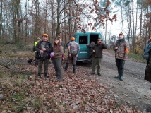 16 listopad 2019