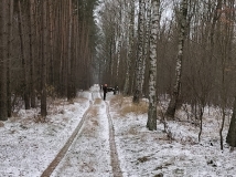17 grudzień 2022