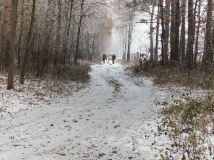 2 grudzień 2023