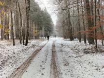 2 grudzień 2023