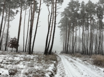 2 grudzień 2023