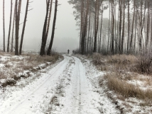 2 grudzień 2023