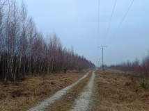 20 grudzień 2025