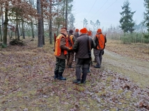 20 grudzień 2025