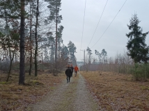 20 grudzień 2025