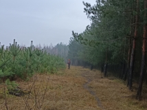 20 grudzień 2025