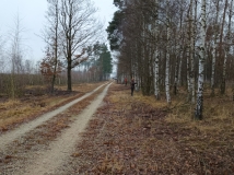 20 grudzień 2025