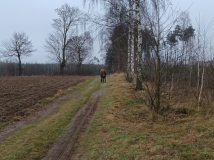 20 grudzień 2025