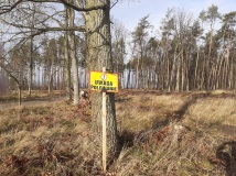 21 grudzień 2019