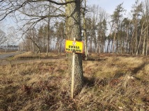 21 grudzień 2019