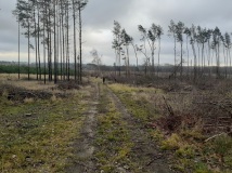21 grudzień 2019