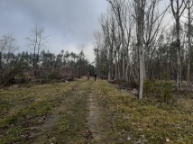 21 grudzień 2019
