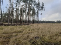21 grudzień 2019