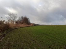 21 grudzień 2019