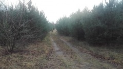 21 grudzień 2019