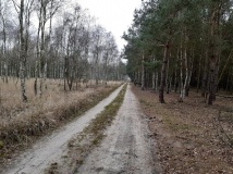 23 listopad 2019
