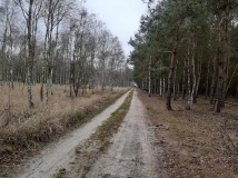 23 listopad 2019