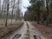 23 listopad 2019