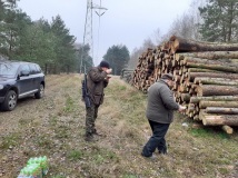 23 listopad 2019
