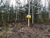 23 listopad 2019