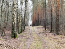 27 styczeń 2024