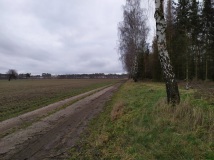 28 grudzień 2019