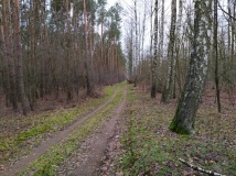 28 grudzień 2019