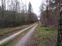 28 grudzień 2019