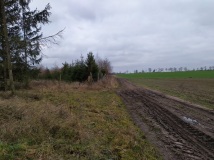 28 grudzień 2019
