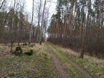 28 grudzień 2019