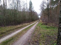 28 grudzień 2019