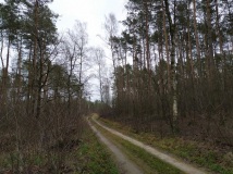 28 grudzień 2019
