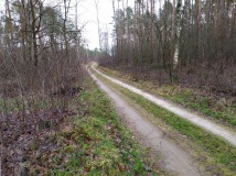 28 grudzień 2019