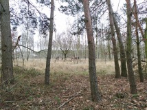 28 grudzień 2019