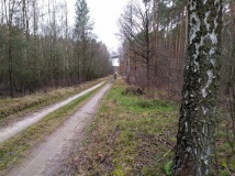 28 grudzień 2019