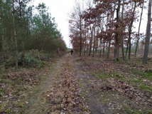 28 grudzień 2019