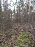 28 grudzień 2019