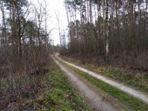 28 grudzień 2019